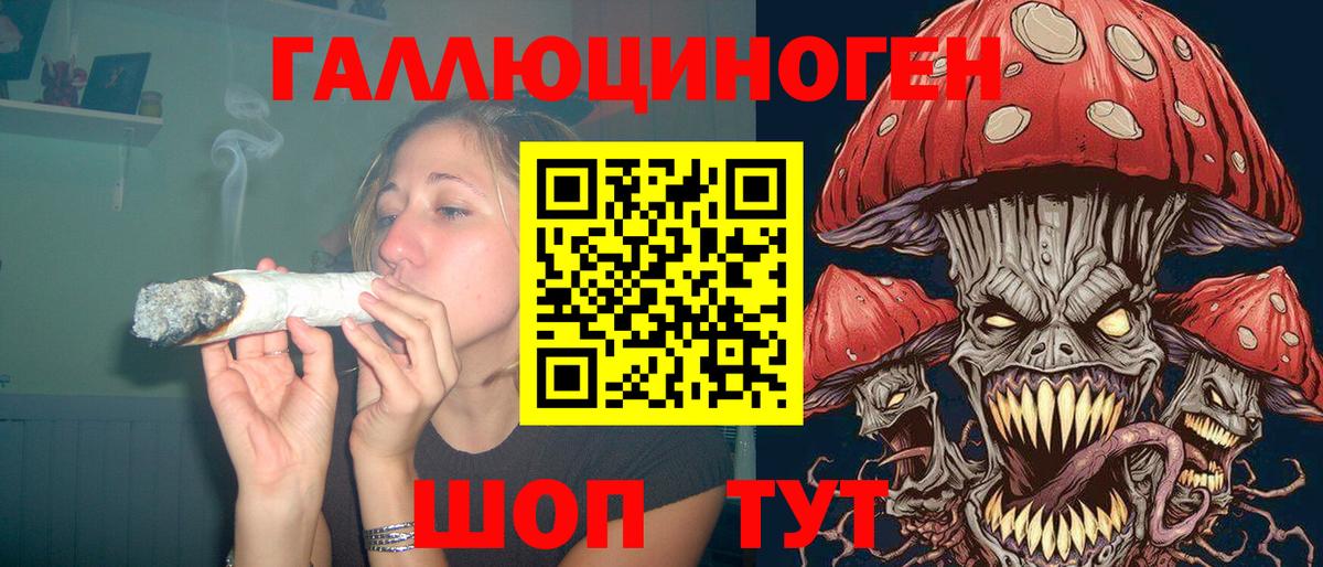 Псилоцибиновые грибы прущие грибы Грозный