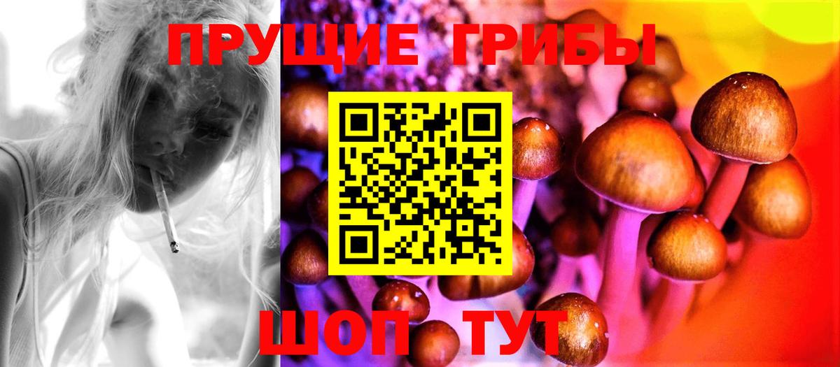Псилоцибиновые грибы Magic Shrooms  Псилоцибиновые грибы MAGIC MUSHROOMS  Грозный  Вход с VPN 